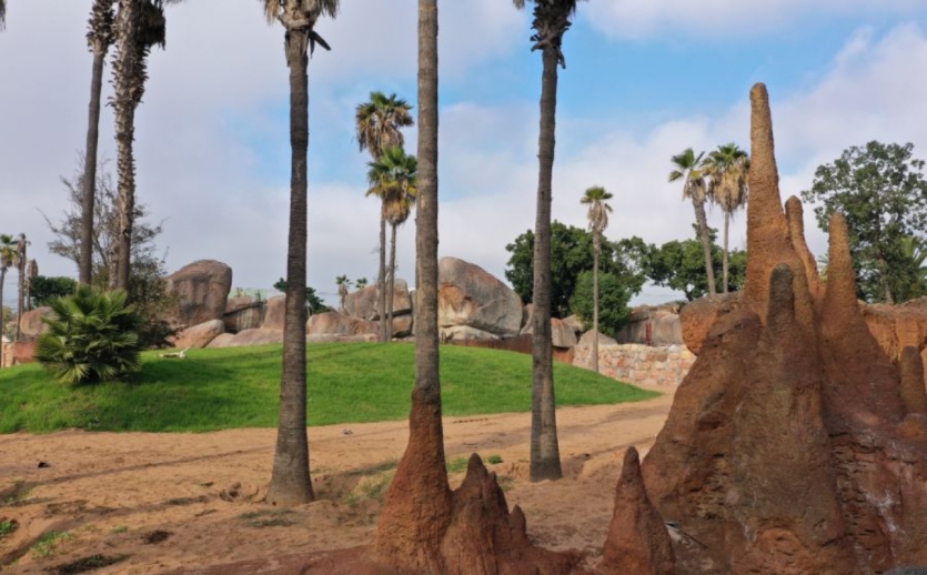 Parc Zoologique Aïn Sebaa